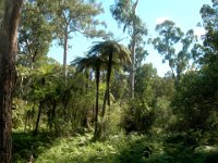 Healesville sanctuary