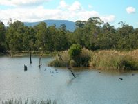 A sanctuary for wildlife