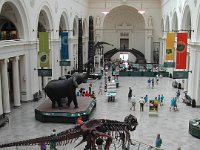 The entrance hall of Fields Museum