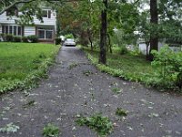 The driveway looks still ok, no harm done by the storm.