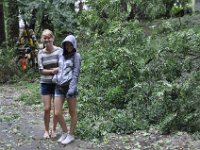 In front of loads of branches.