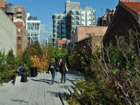 The High Line Park