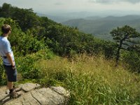 Lots of forests when looking east