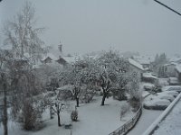 Looking out of a window watching the snow coming down.