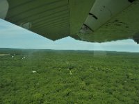 MV has a lot of woods.