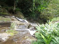 The rocky island does not favor a smooth flow of a river.