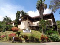 Belmont Estate, 200 years old, originally nutmegs, now cocoa. The Estate is still family run, and fully organic.