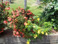 The esteate is well kept.