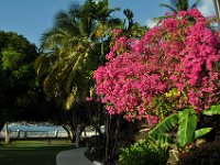 Lush colors everywhere.