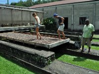 We were allowed to try, too.