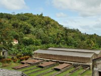 The sun shines, the beans are out. When it rains, the are rolled in unter the roof.