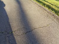 ... and did not look good anymore.