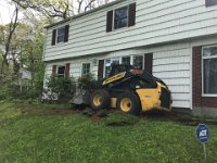 First, rescue the bushes. No problem with a small digger.