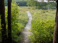 We were not sure whether to trust these walkways out on the water. So we stayed on solid ground.