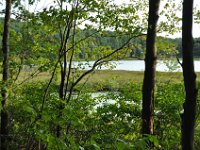 Moss lake, a natural reserve. Its a peat bog, left when the glaciers retreated.