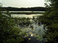 Late afternoon, the sun started to go down.