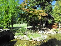 The Japanese part of the garden.