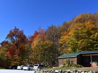 The colors of the foliage were magnificent.