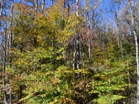 Changing colors here as well.