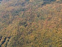 Clearly Indian Summer in full.